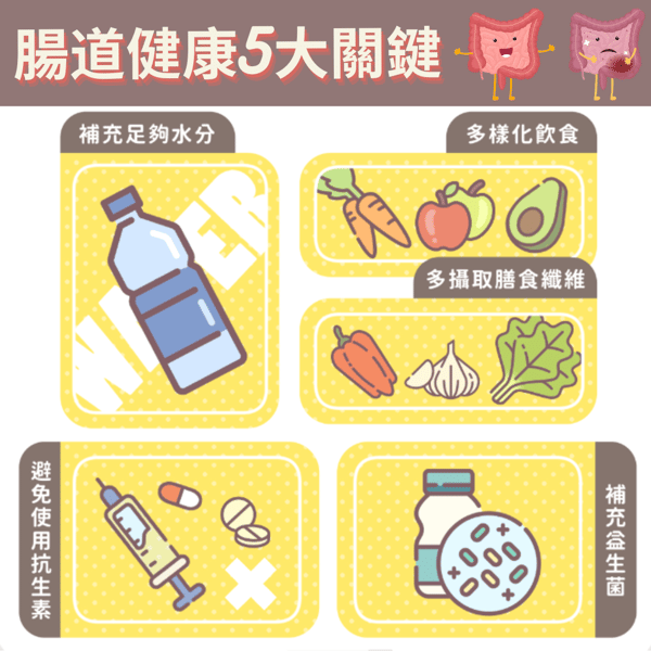 {287de591-d4be-41d9-977f-ae6db3393818}_腸道健康5大關鍵