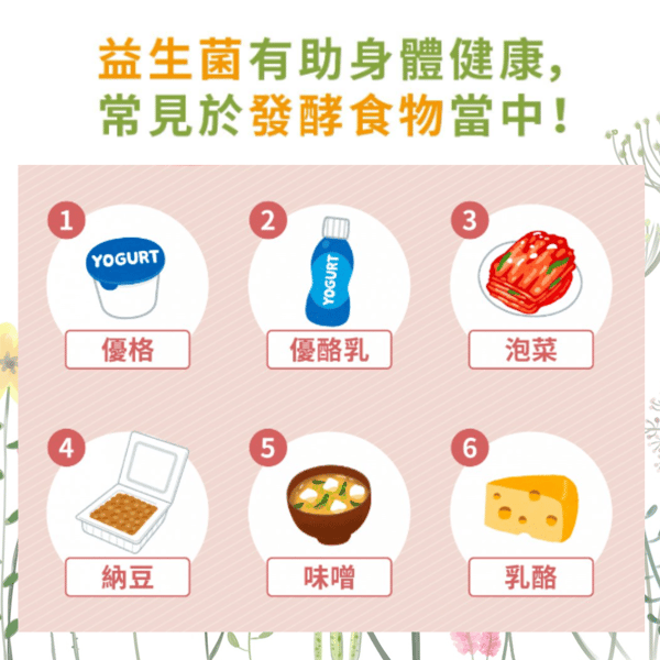 {2d52fb4c-bbc7-4447-9221-0831f8013bb4}_益生菌常見於發酵食物中